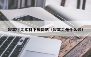 三沙寂寞行走素材下载网站（寂寞走是什么歌）